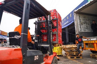 海峽兩岸攜手，滯銷水果變暢銷——物流城倉儲服務助力臺農脫困